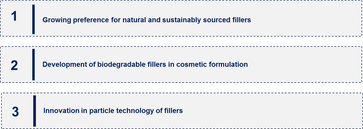 Fillers in the Global Cosmetics Market Emerging Trend